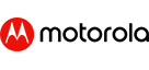 Owl Image
